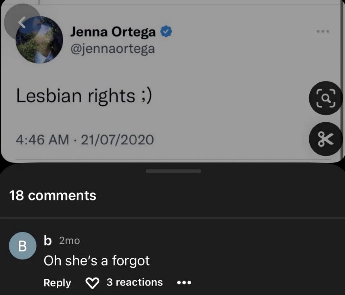 Дженна Ортега Lesbian rights Oh she's a forgot Скриншот твита Дженны Ортеги с надписью "Lesbian rights :) " и комментарием "Oh she's a forgot".