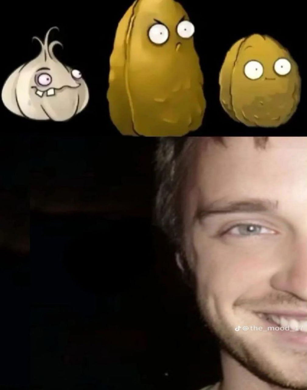 Джесси Пинкман похож на растения из Plants vs Zombies Джесси Пинкман из сериала «Во все тяжкие» очень похож на орехи и чеснок из игры Plants vs Zombies