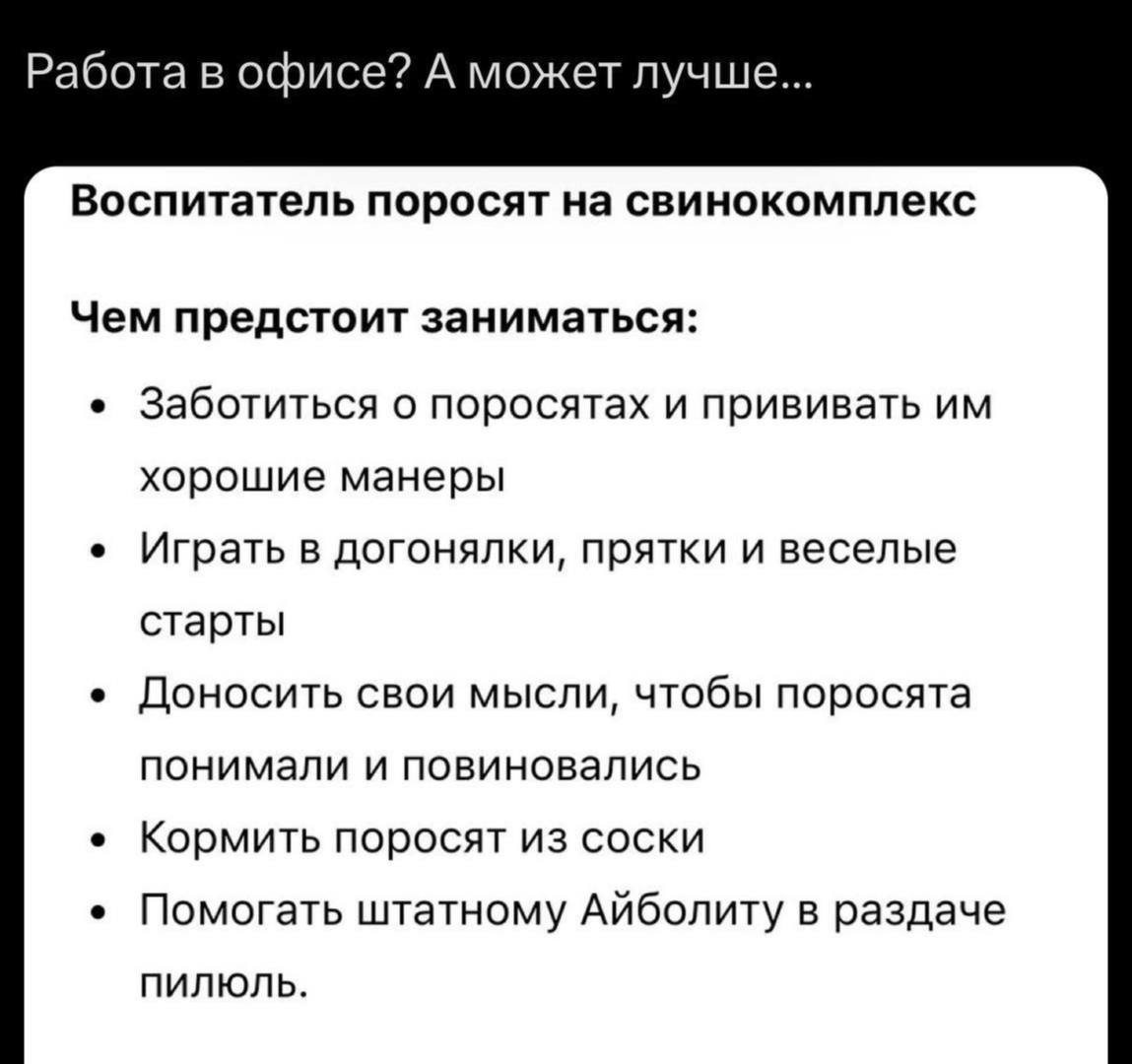 Работа воспитателем поросят Работа воспитателем поросят на свинокомплексе может быть лучше офисной