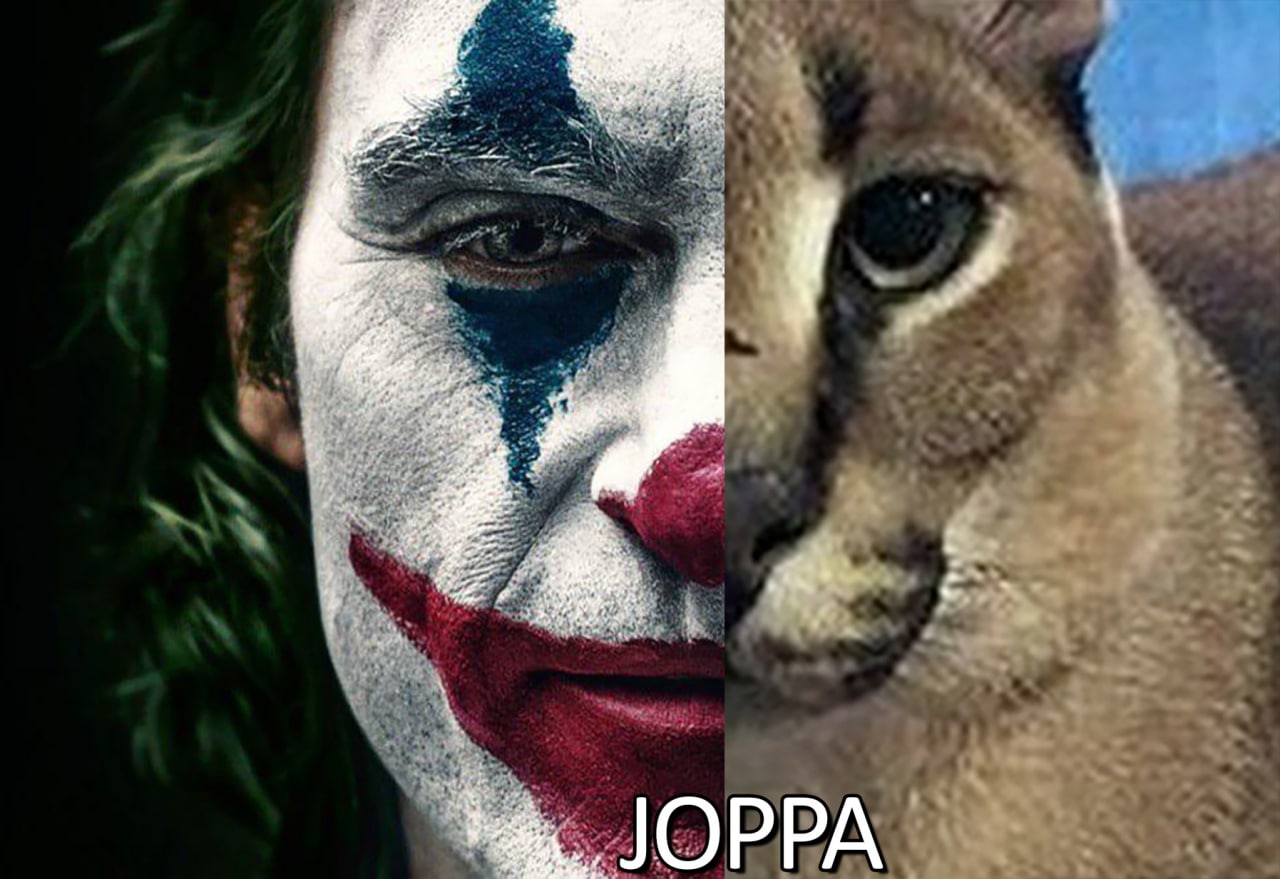 Джокер и Флоппа Объединенные лица Джокера и кота Флоппы, с надписью "Joppa"