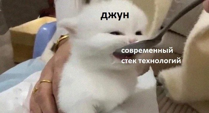 Джун и современный стек технологий Белый котенок, которому силой пытаются скормить современный стек технологий, под которым подразумевается джун, а под ложкой - современный стек технологий.