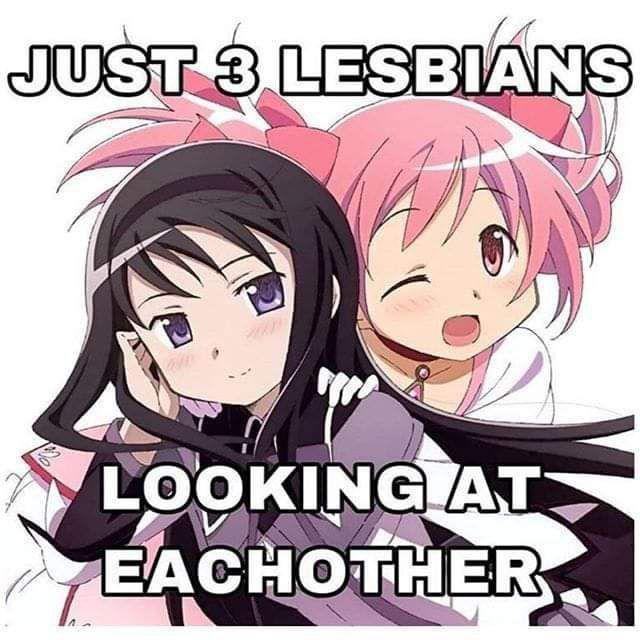 Две аниме-девушки игриво смотрят друг на друга с подписью «JUST 3 LESBIANS LOOKING AT EACH OTHER».