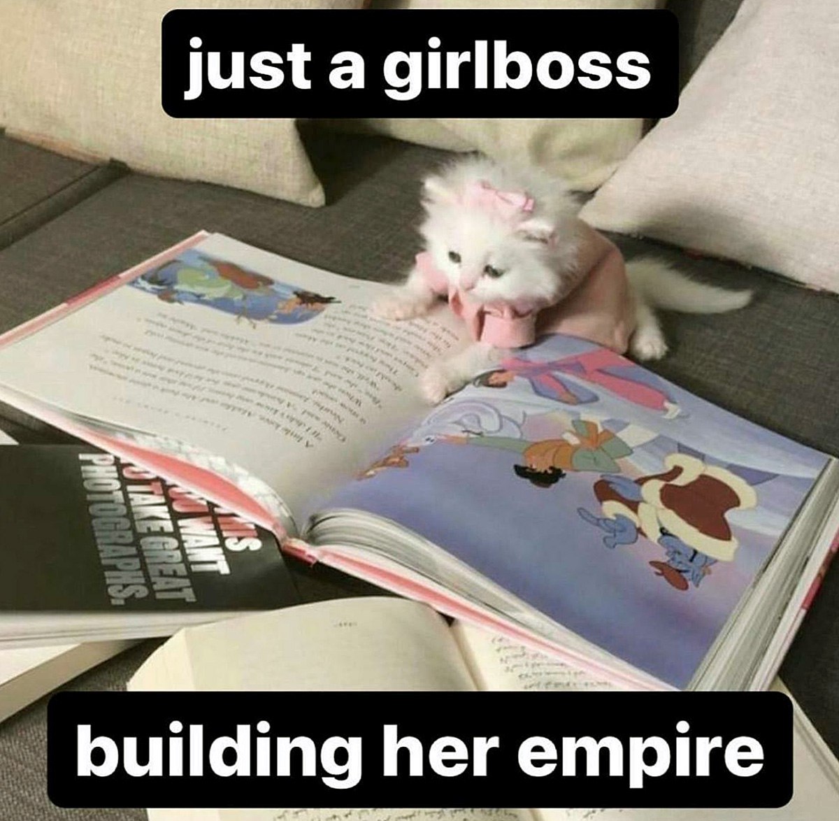 Just a girlboss building her empire Котёнок в розовом платье читает книгу, строя свою империю.