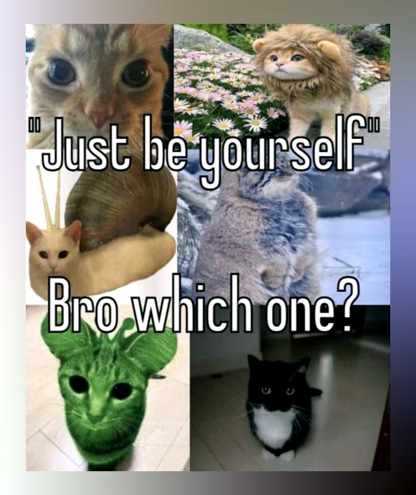 Just be yourself bro which one Мем с котом "Just be yourself bro which one"