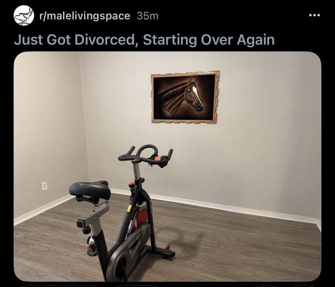 Скриншот поста с подписью «Just Got Divorced, Starting Over Again»: в почти пустой комнате стоит велотренажёр и висит картина с лошадью.