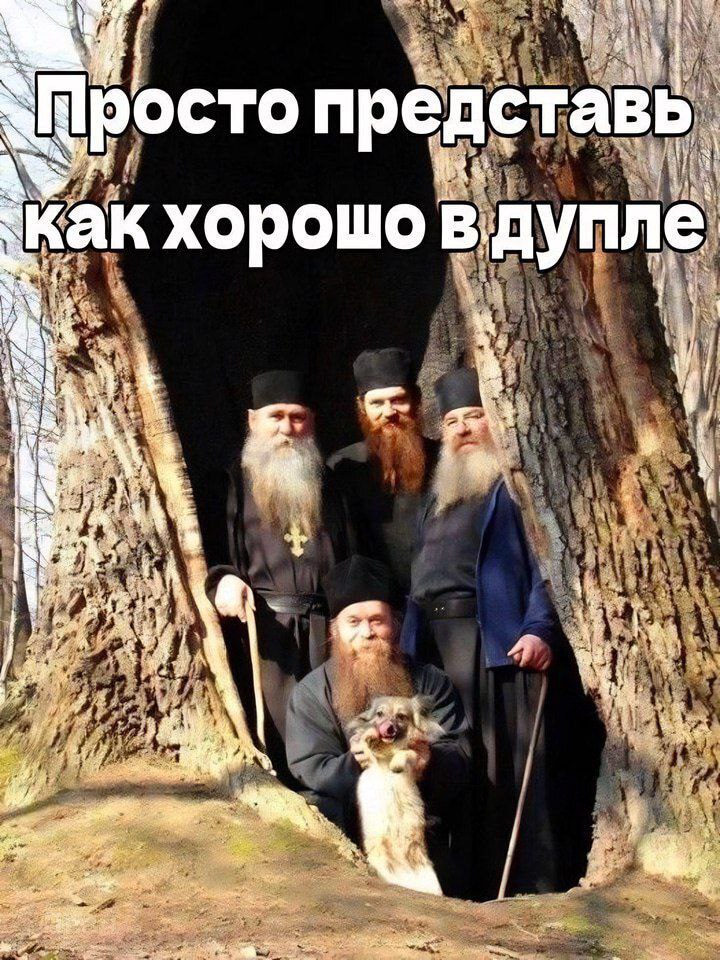 Просто представь как хорошо в дупле Монахи прячутся в дупле старого дерева, а один из них держит милую собачку, высовывающую язык. Надпись на меме: «Просто представь как хорошо в дупле».
