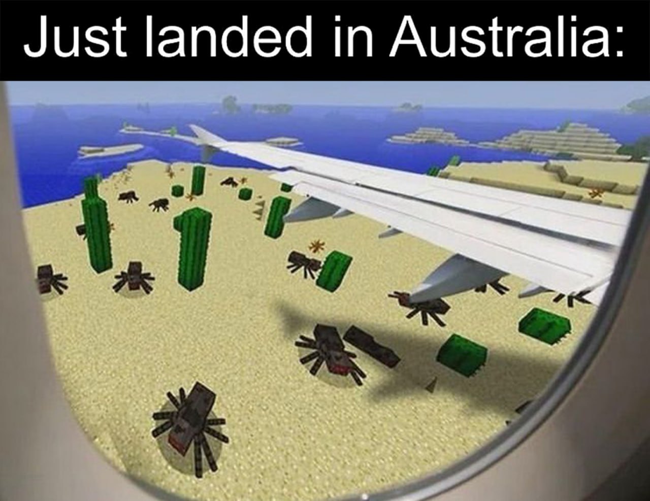 Just landed in Australia Только что приземлился в Австралии