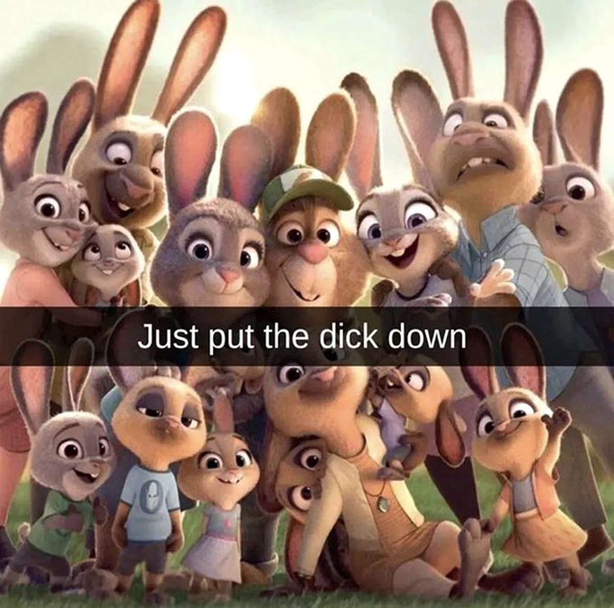 Just put the dick down Мем с кроликами из Зверополиса и надписью "Just put the dick down" на фоне, призывающей успокоиться и опустить член.