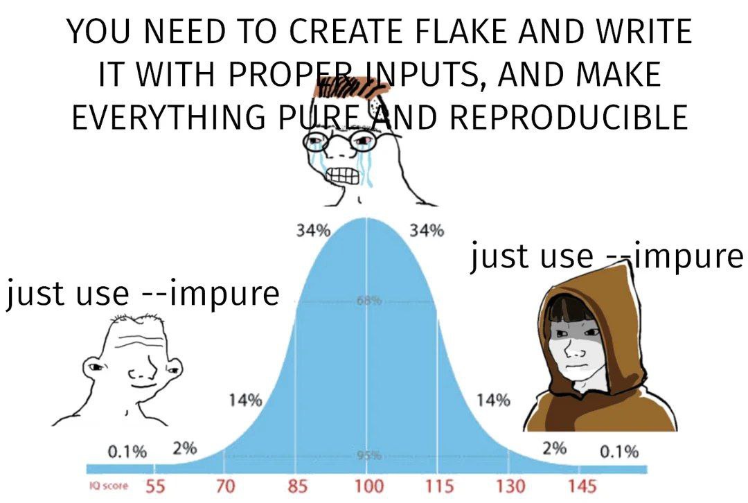 Мем про подход к программированию с использованием --impure для простоты вместо создания flake и воспроизводимых систем, изображенный на кривой распределения IQ.