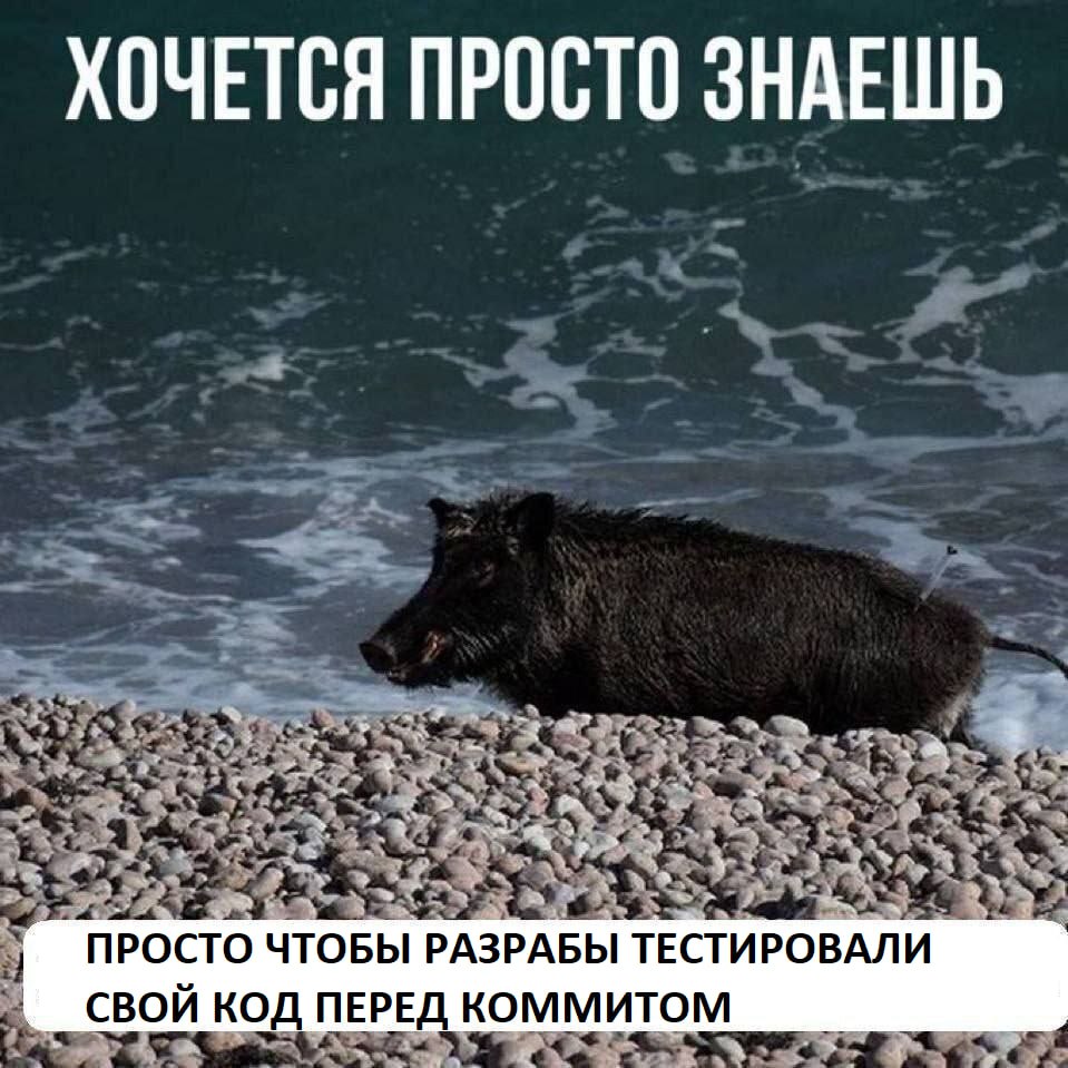 Хочется просто знаешь, просто чтобы разрабы тестировали свой код перед коммитом Кабан на каменистом пляже и фраза "Хочется просто знаешь, просто чтобы разрабы тестировали свой код перед коммитом"