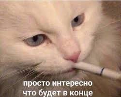 Просто интересно что будет в конце Белый кот с голубыми глазами держит во рту тонкую белую палочку, похожую на сигарету, с подписью: "просто интересно что будет в конце".