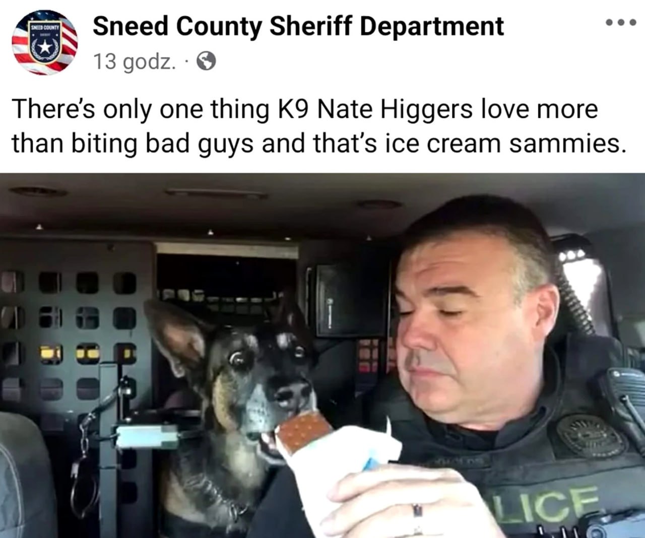 K9 Nate Higgers love ice cream sammies Полицейская собака Кей-9 Нейт Хиггерс ест мороженое с полицейским из департамента шерифа округа Снид