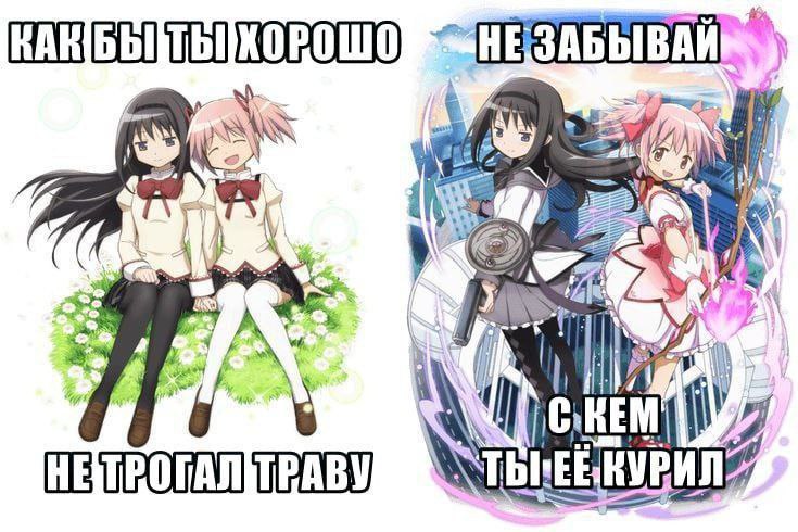 Как бы ты хорошо не трогал траву Мем с двумя аниме-девушками и надписью про траву