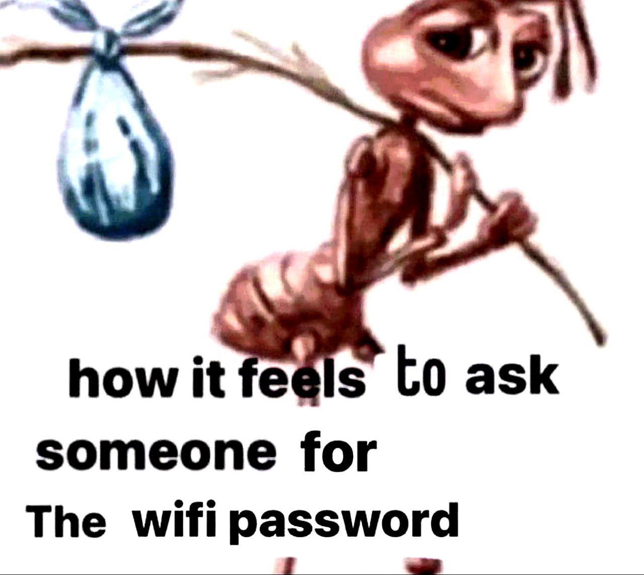 Как чувствуешь себя, когда спрашиваешь пароль от Wi-Fi Мем с муравьём из мультфильма "Приключения Флика", который выглядит как бродяга с узелком на палке, иллюстрирующий, как неловко просить пароль от Wi-Fi.