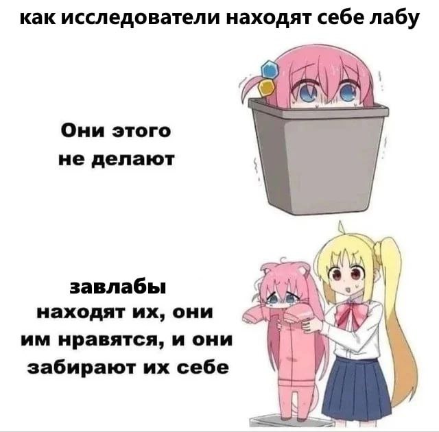 Как исследователи находят себе лабу Мем с Боччи из аниме "Bocchi the Rock!" о том, как исследователи находят себе лаборатории