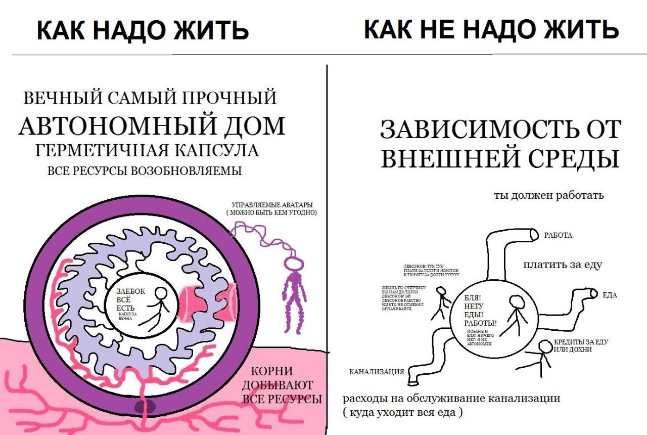 Как надо жить и как не надо жить Сравнение автономной жизни и зависимости от внешней среды