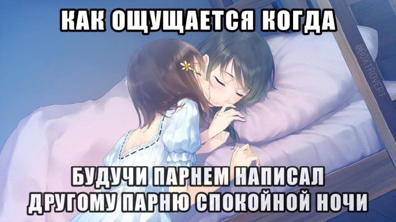 Мем "Как ощущается, когда будучи парнем написал другому парню спокойной ночи" с двумя спящими аниме-девушками