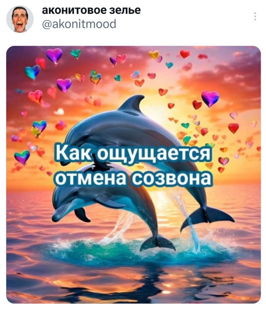 Как ощущается отмена созвона Мем с дельфинами и сердечками: Как ощущается отмена созвона