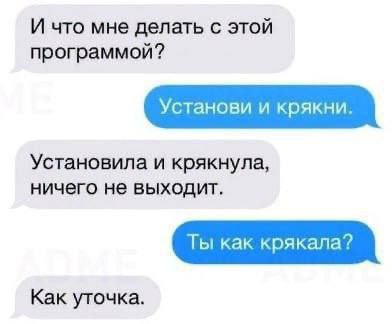 Ты как крякала Переписка в мессенджере, где человек спрашивает «Ты как крякала?», а ему отвечают «Как уточка»