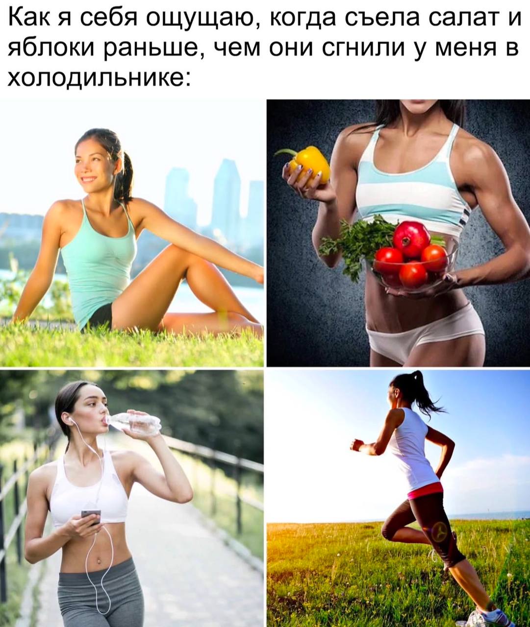 Как я себя ощущаю, когда съела салат и яблоки Как я себя ощущаю, когда съела салат и яблоки раньше, чем они сгнили у меня в холодильнике