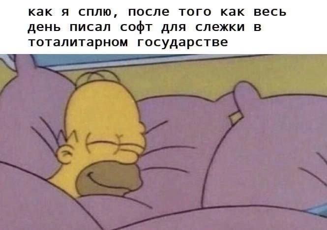 Как я сплю, после того как весь день писал софт для слежки в тоталитарном государстве Гомер Симпсон блаженно спит после того, как весь день писал софт для слежки в тоталитарном государстве.