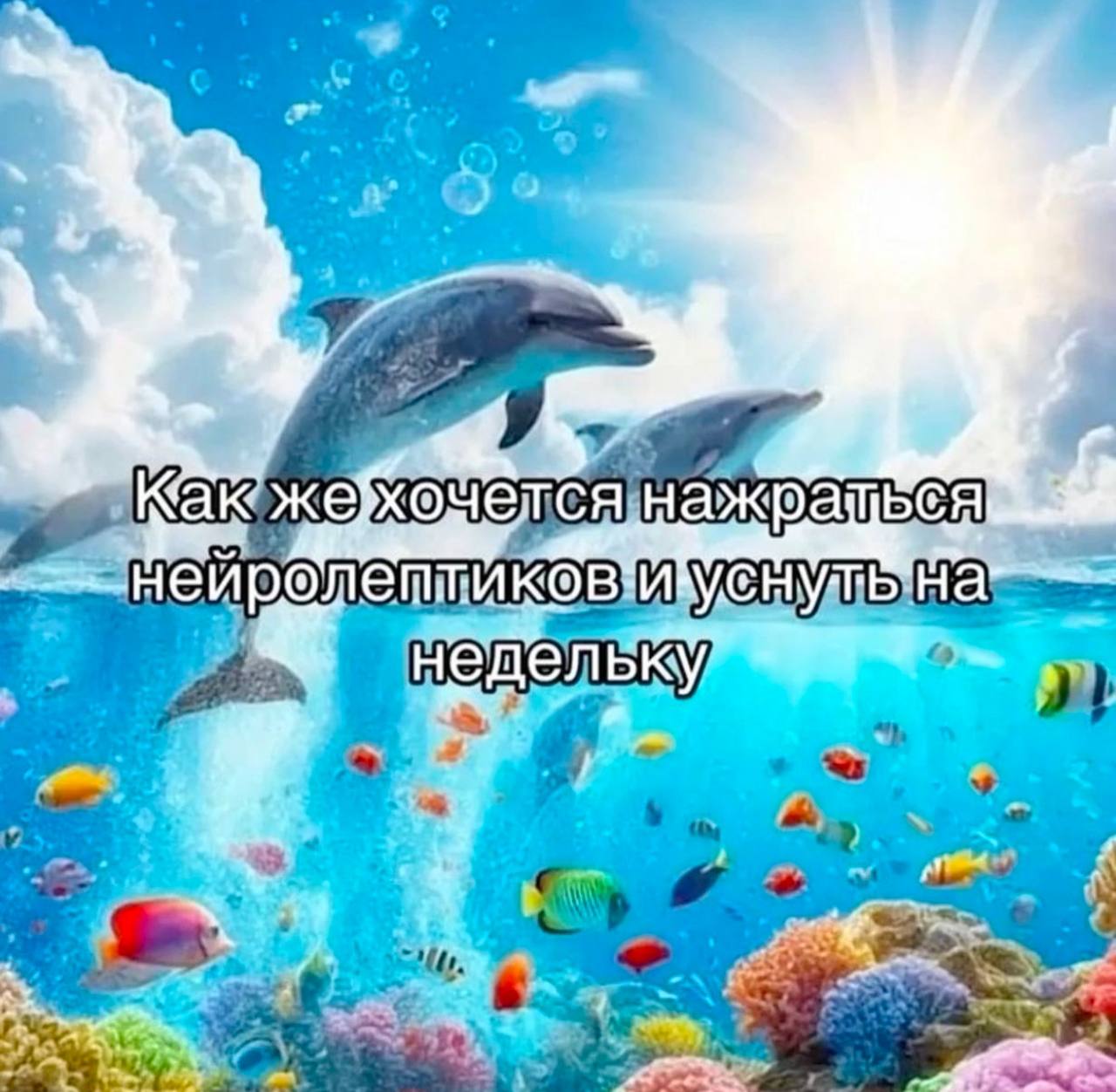 Как же хочется нажраться нейролептиков и уснуть на недельку Мем с дельфинами, плавающими над коралловым рифом, и текстом: «Как же хочется нажраться нейролептиков и уснуть на недельку»
