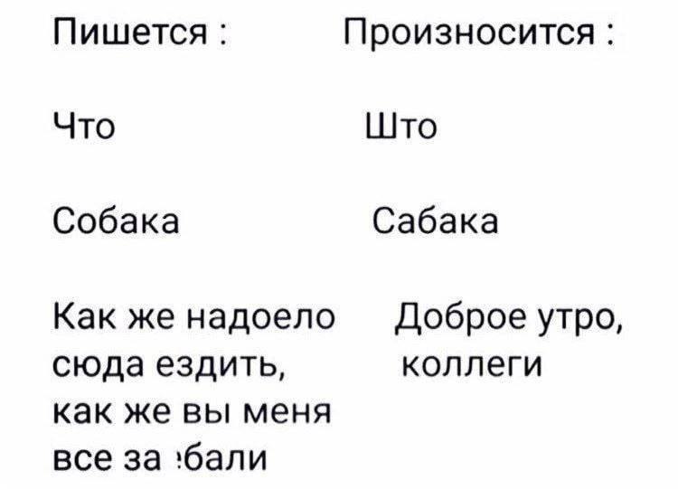 Как же надоело сюда ездить, как же вы меня все за*бали Мем, где показана разница между тем, что написано/думается, и тем, как это произносится/говорится, на примере фраз "Что"-"Што", "Собака"-"Сабака" и "Как же надоело сюда ездить, как же вы меня все за*бали" - "Доброе утро, коллеги".