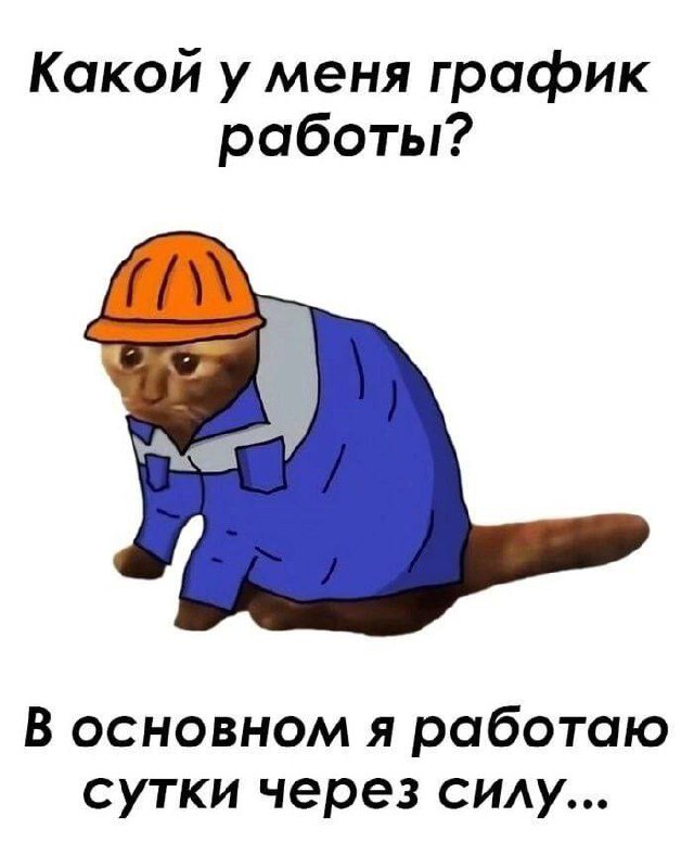 Какой у меня график работы Мем с котом-строителем, который грустно спрашивает о своем графике работы и отвечает, что работает "сутки через силу".