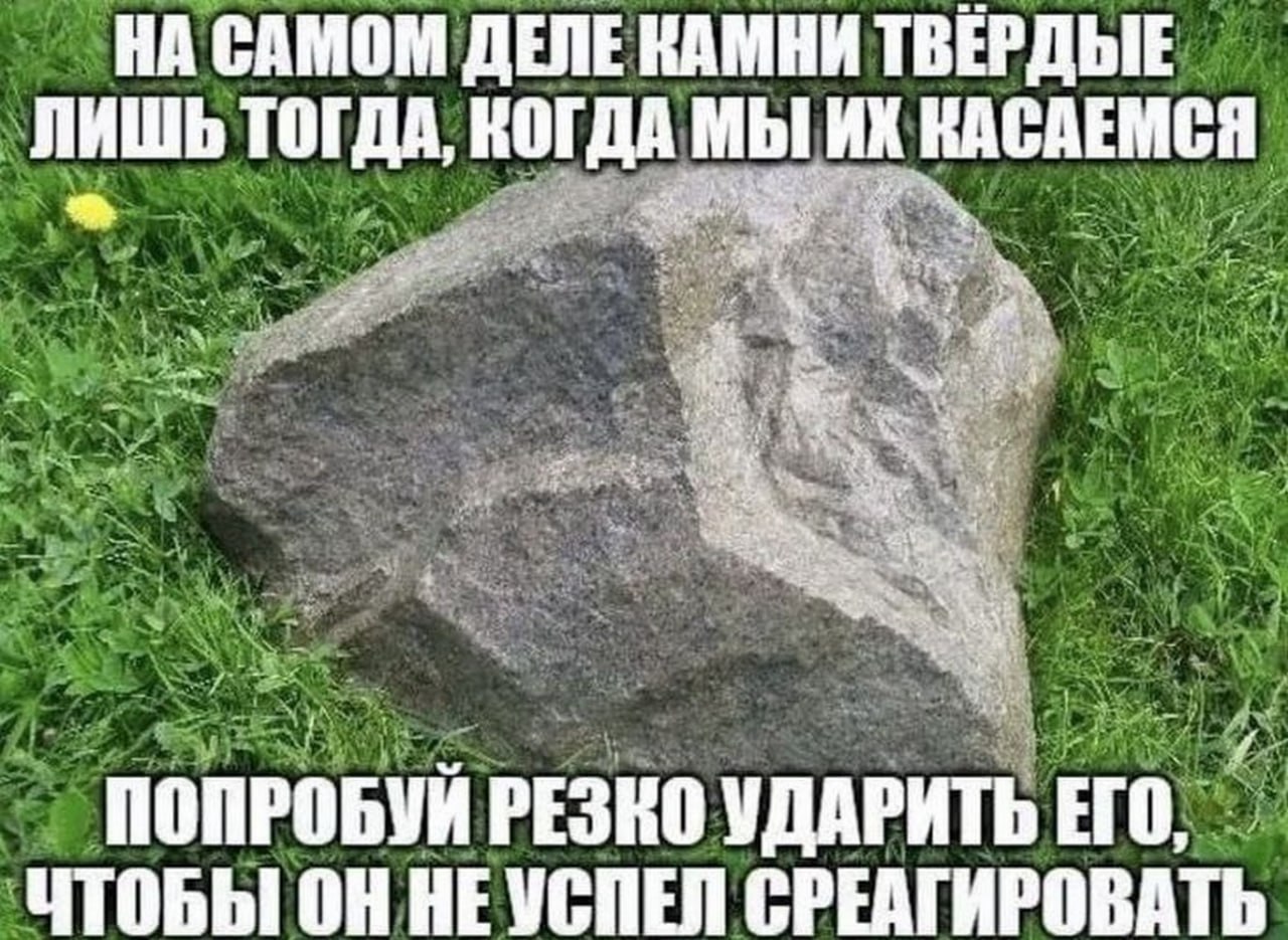 Камни твёрдые лишь тогда, когда мы их касаемся Мем с камнем и текстом о его твердости. Камень лежит на зеленой траве, а сзади виден одуванчик.