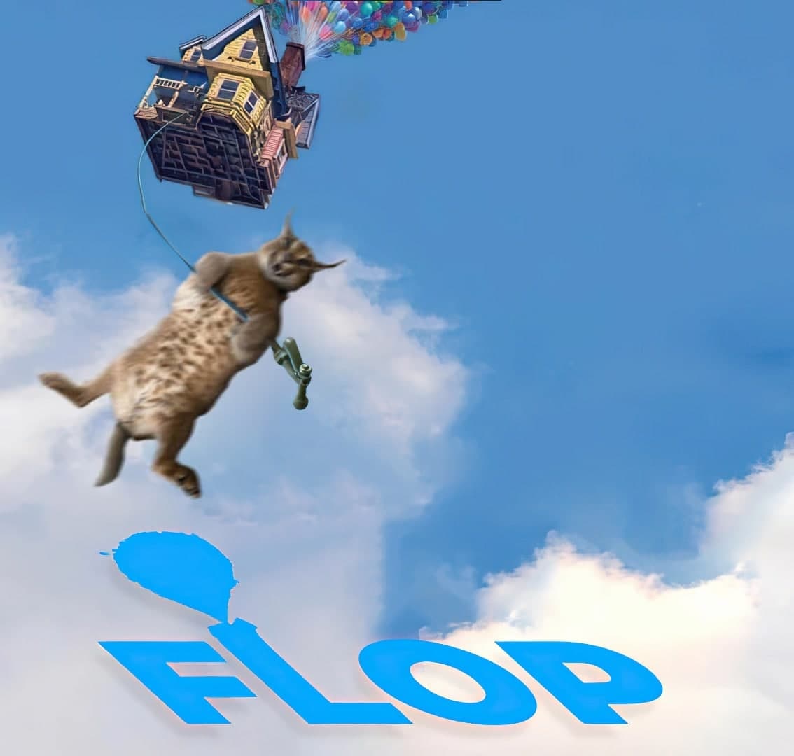 Каракал летит с домом «Вверх» FLOP Каракал, привязанный к дому из мультфильма «Вверх», летит в небе на фоне надписи FLOP