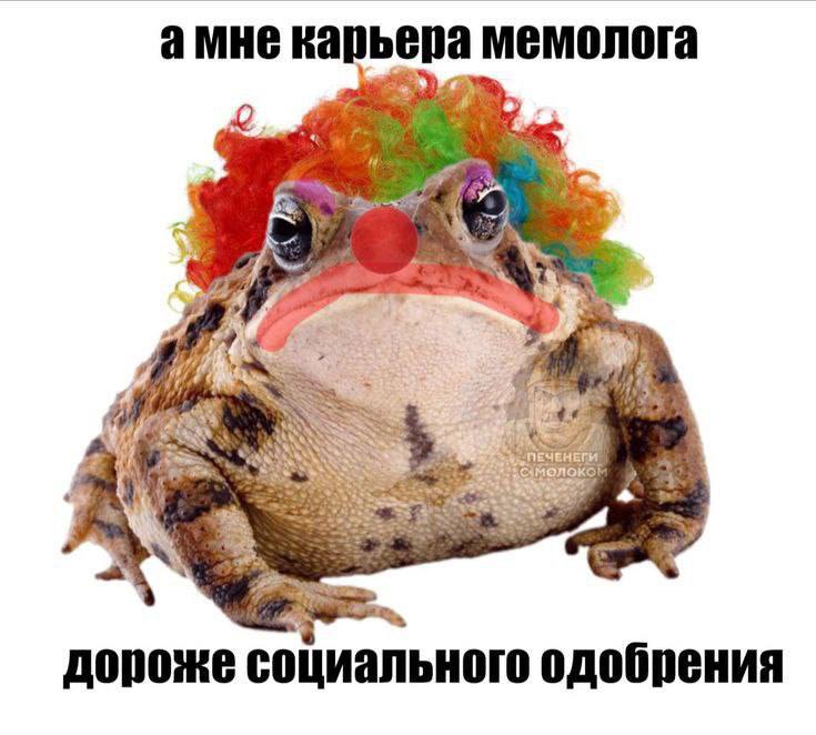 Карьера мемолога дороже социального одобрения Жаба-клоун, мем о том, что карьера мемолога дороже социального одобрения