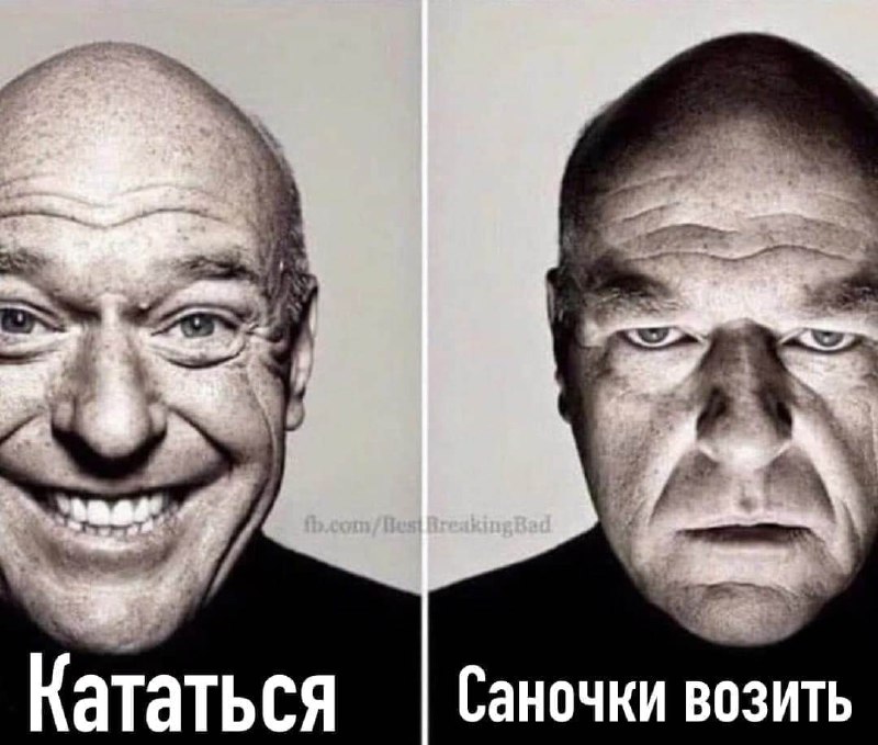 Кататься саночки возить Хэнк Шрейдер кататься саночки возить