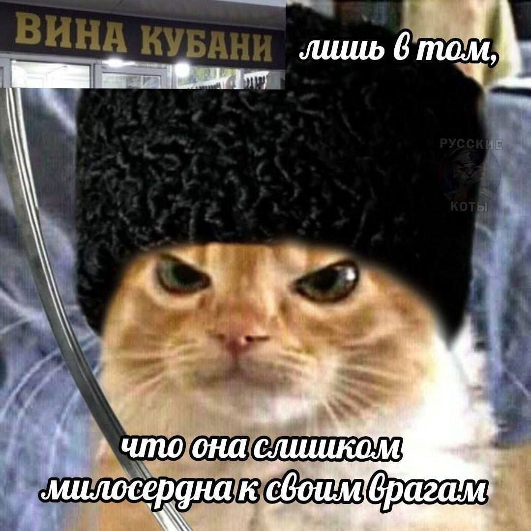 Кот в папахе с саблей и надписью "ВИНА КУБАНИ лишь в том, что она слишком милосердна к своим врагам"