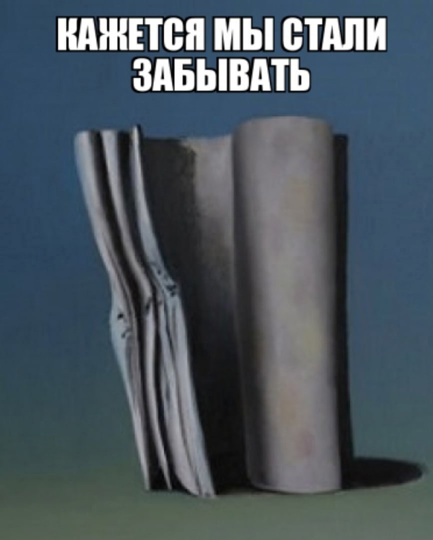 Кажется мы стали забывать Мем с рулоном туалетной бумаги, который выглядит как книга, и надписью «Кажется мы стали забывать».