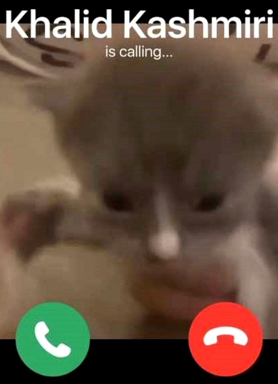 Khalid Kashmiri is calling Мем с котом и звонком Khalid Kashmiri is calling