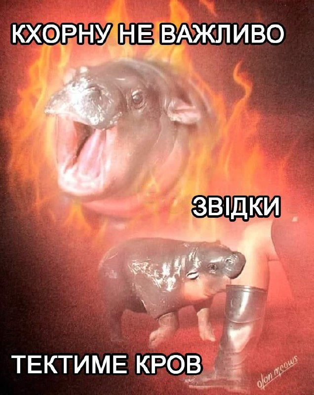 Кхорну не важливо звідки тектиме кров Мем про то, как Кхорну неважно, откуда потечет кровь, с бегемотами на фоне огня.