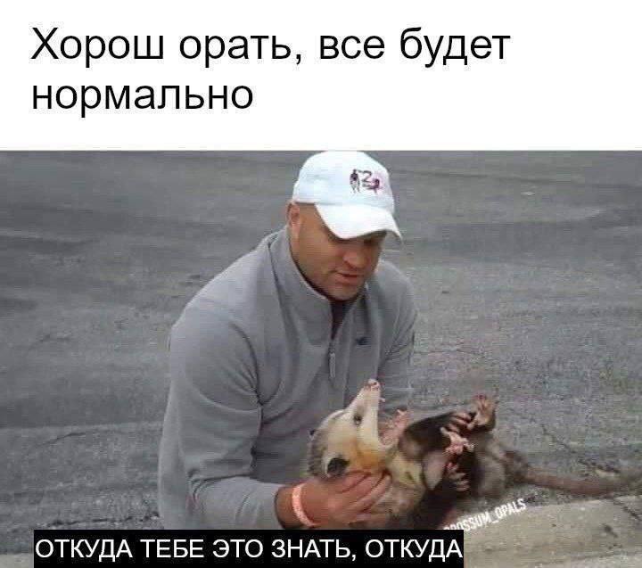 Хорош орать, все будет нормально Мужчина держит кричащего опоссума, а сверху и снизу мемные надписи.