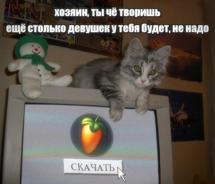 Котёнок на мониторе с текстом "Хозяин, ты чё творишь, ещё столько девушек у тебя будет, не надо"