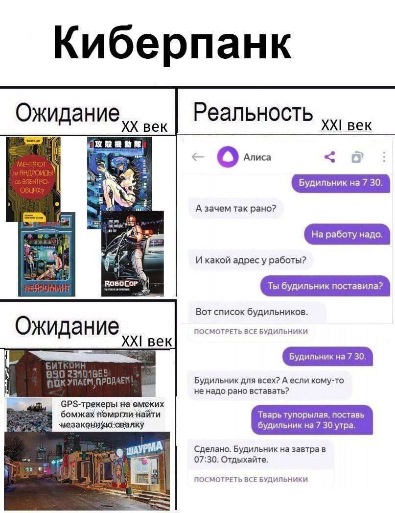 Киберпанк ожидания и реальность Ожидания и реальность киберпанка в 20 и 21 веках