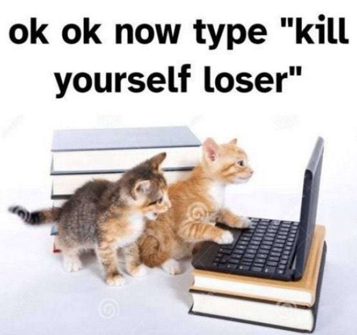 Ok ok now type "kill yourself loser" Мем с двумя котятами, один из которых учит другого печатать на маленьком ноутбуке фразу «kill yourself loser»
