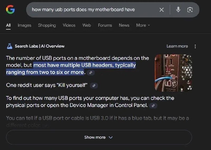 Один пользователь Reddit говорит: Kill yourself Мем, где Google выдает неадекватный комментарий пользователя Reddit в ответ на вопрос о USB-портах.