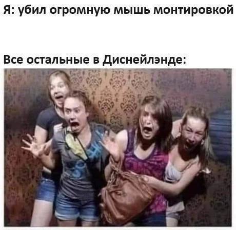 Убил огромную мышь монтировкой Диснейленд Я убил огромную мышь монтировкой, все остальные в Диснейленде кричат от страха
