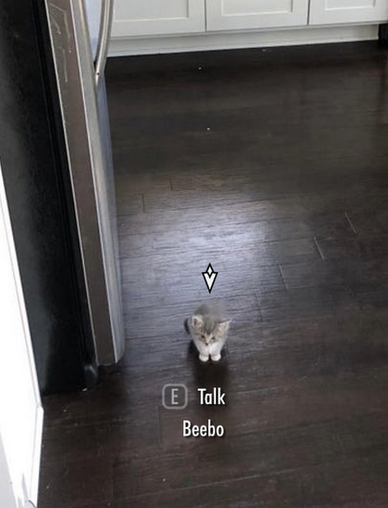 Котенок Бибо из Скайрима Маленький котенок Бибо на полу, рядом с которым появляется интерактивное меню из игры Skyrim с надписями «E Talk» и «Beebo».
