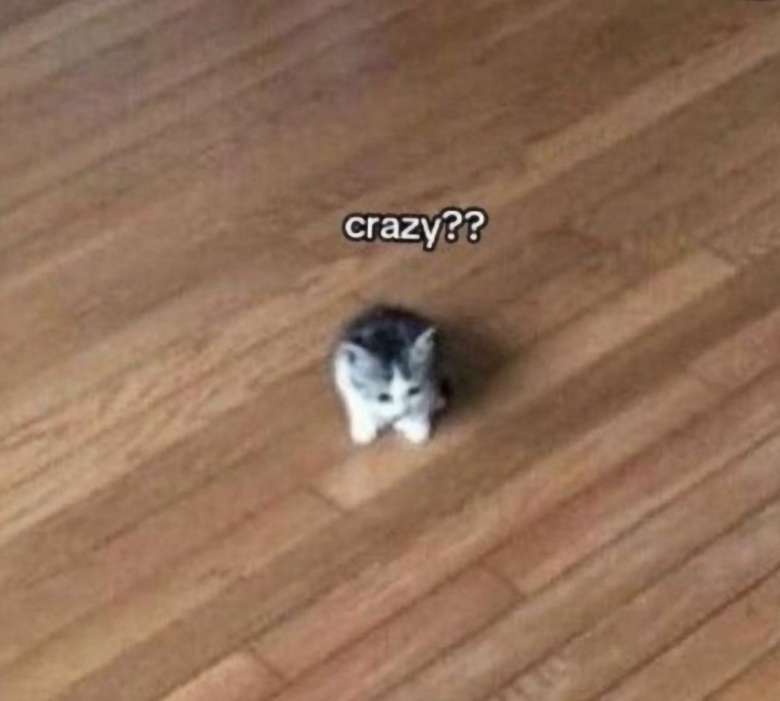Котёнок crazy?? Котёнок сидит на деревянном полу, а над ним написано crazy??