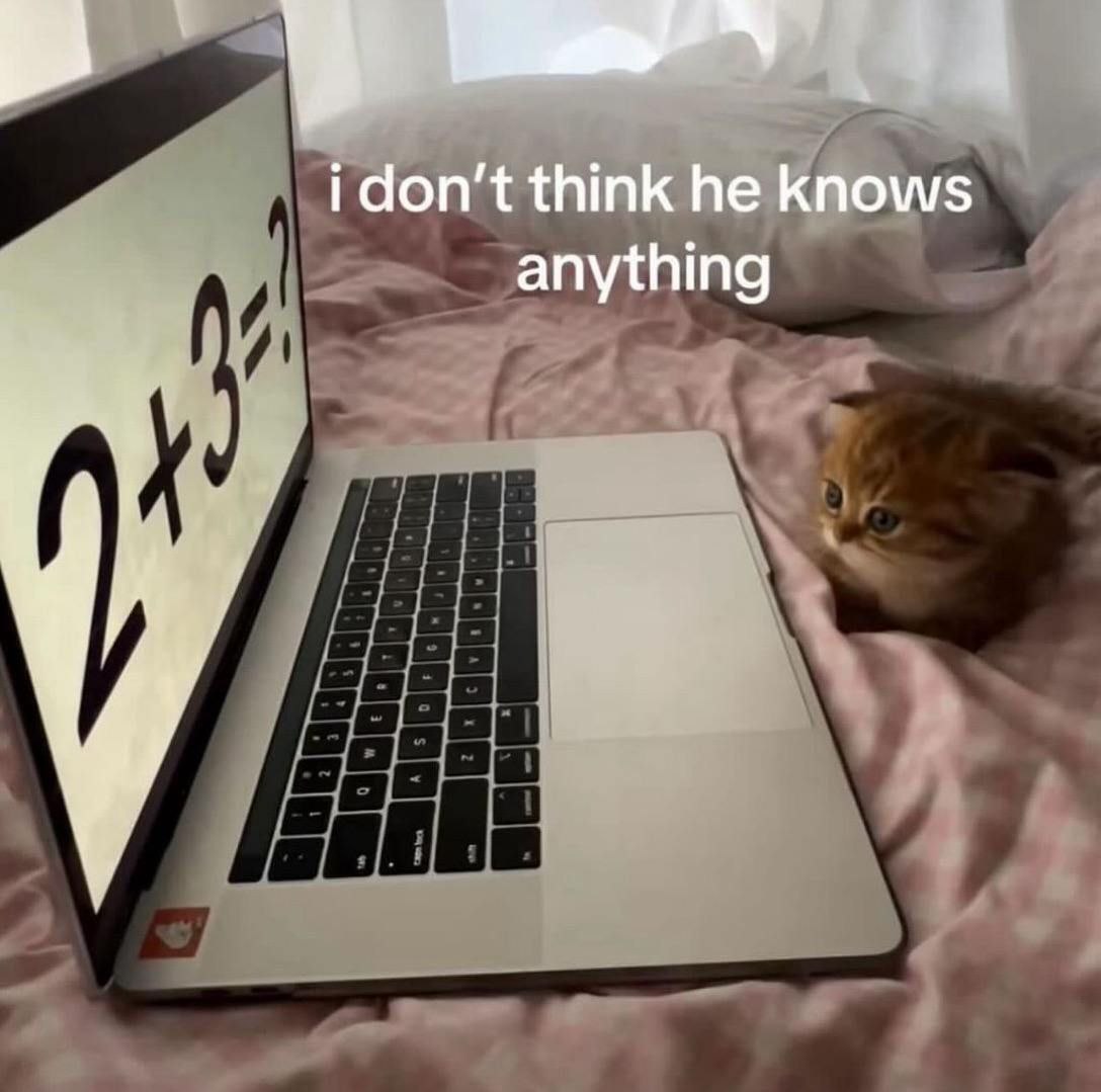 Котенок не знает математики Котенок не знает, сколько будет 2+3, глядя в сторону от ноутбука.