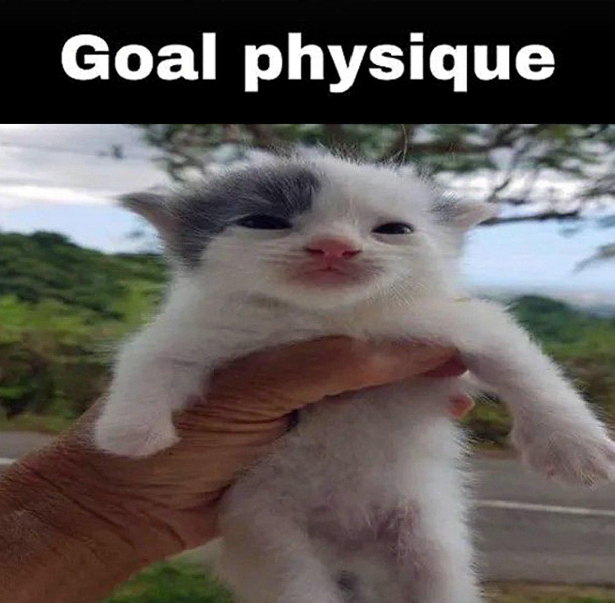 Котенок Goal physique Мем с котенком, которого держат за животик, с надписью Goal physique
