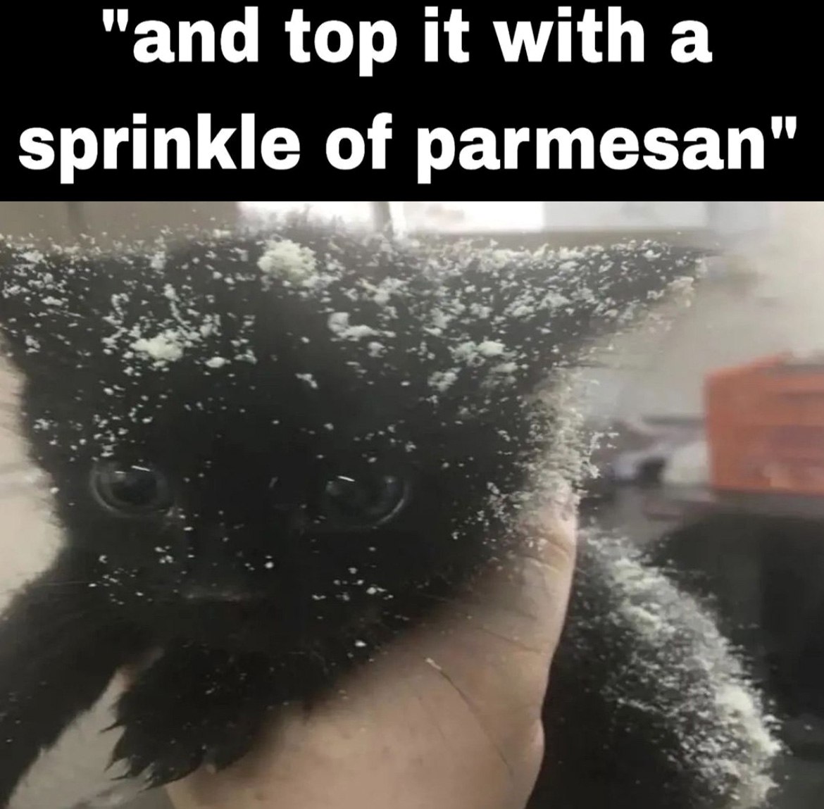 Котёнок в пармезане Черный котенок, посыпанный пармезаном, с текстом "And top it with a sprinkle of parmesan".
