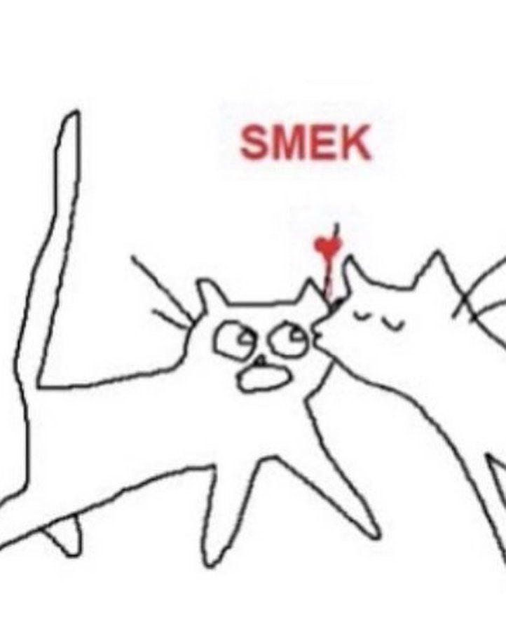 Котёнок в шоке Smek Мем с котом в шоке от поцелуя и надписью Smek