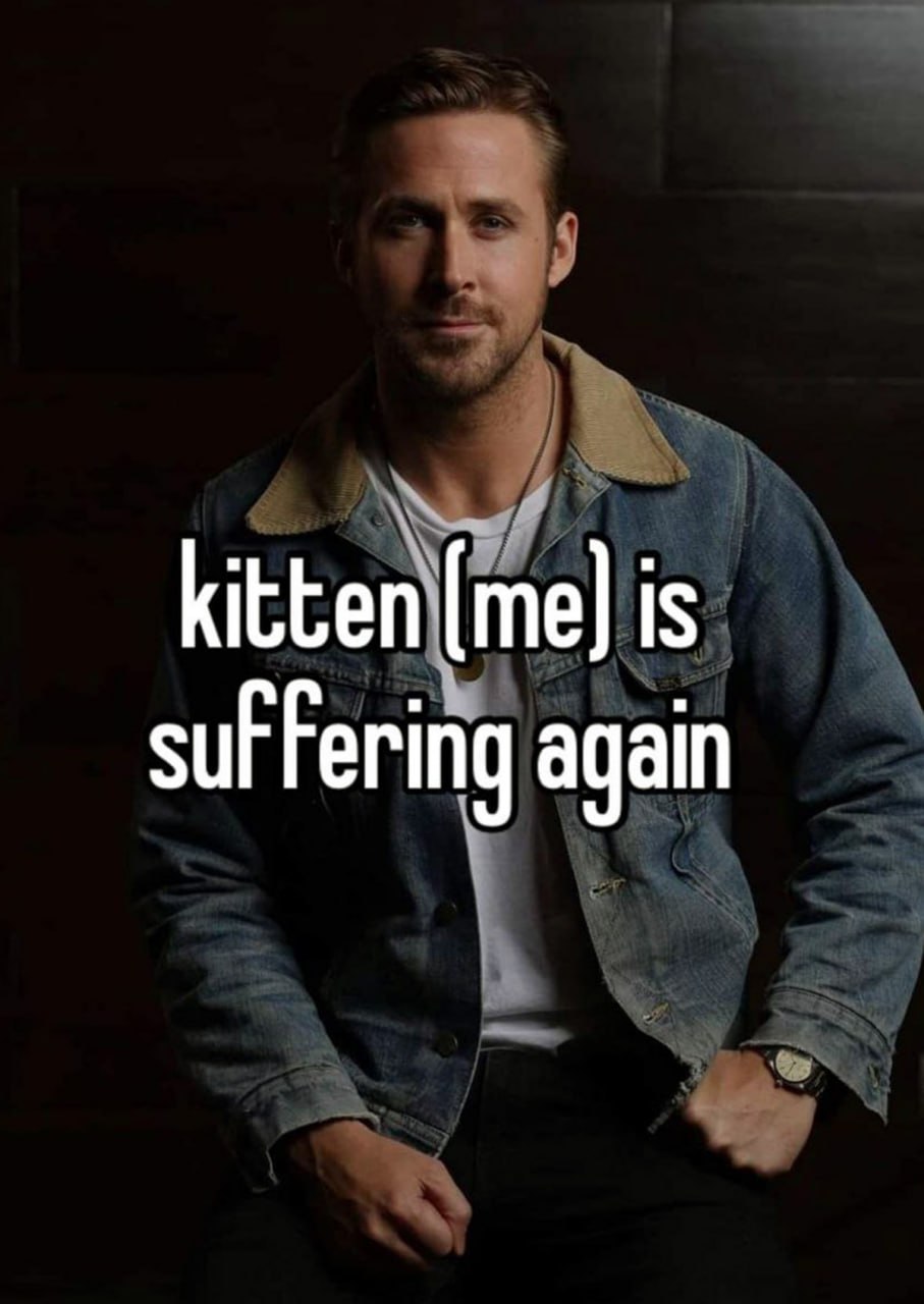 Kitten (me) is suffering again Райан Гослинг сидит на тёмном фоне, а внизу белым текстом написано «kitten (me) is suffering again»