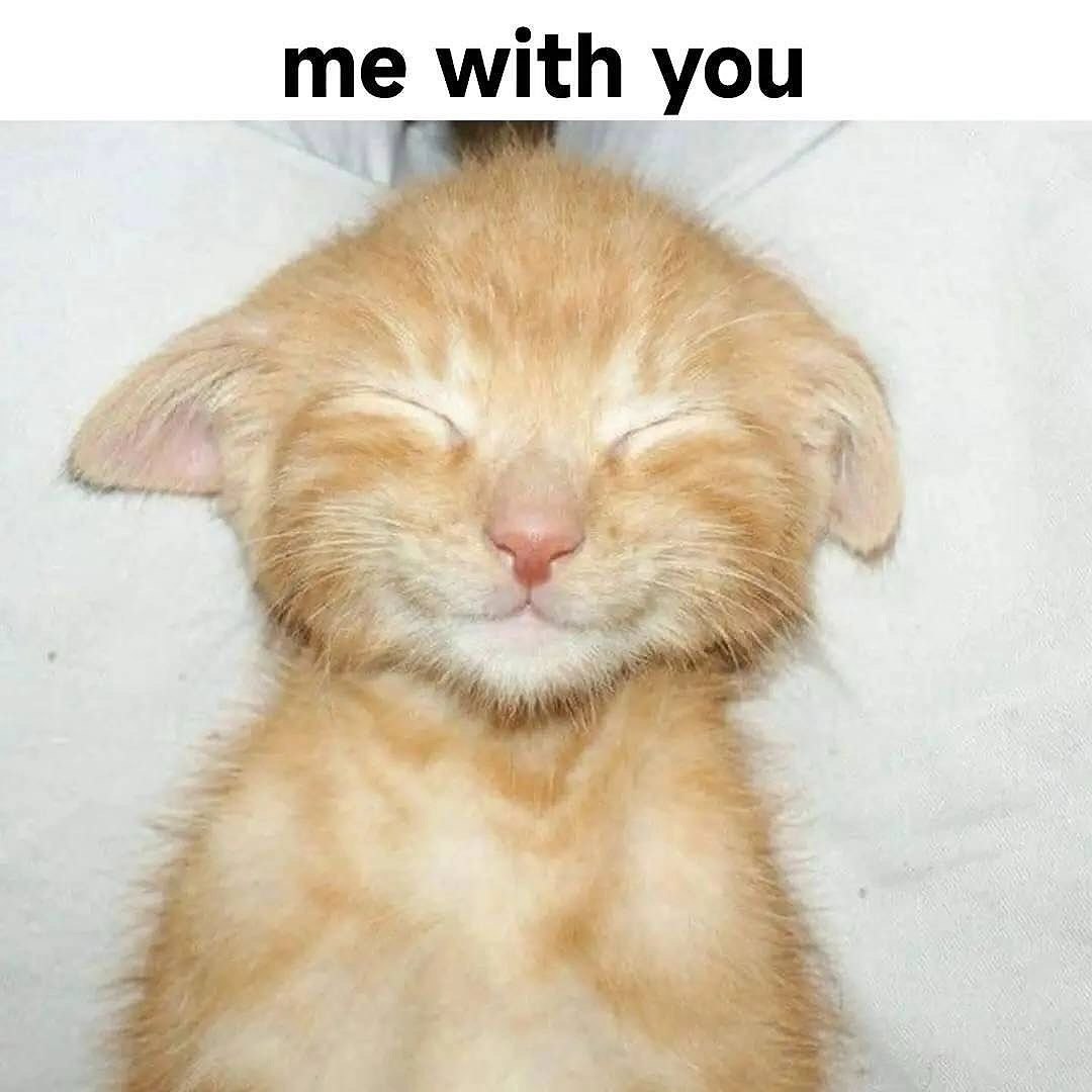 Котёнок me with you Милый рыжий котёнок с закрытыми глазами и улыбкой, лежащий на белой поверхности. Надпись "me with you" сверху.